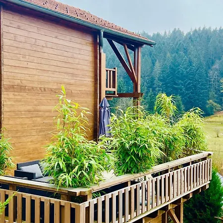 Upmarket Close To The Slopes * Gerardmer