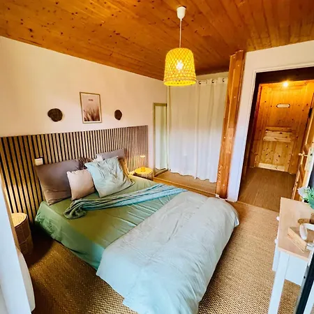 Upmarket Close To The Slopes Gérardmer